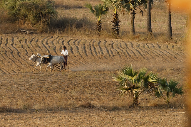 Pagan-lever de soleil-065